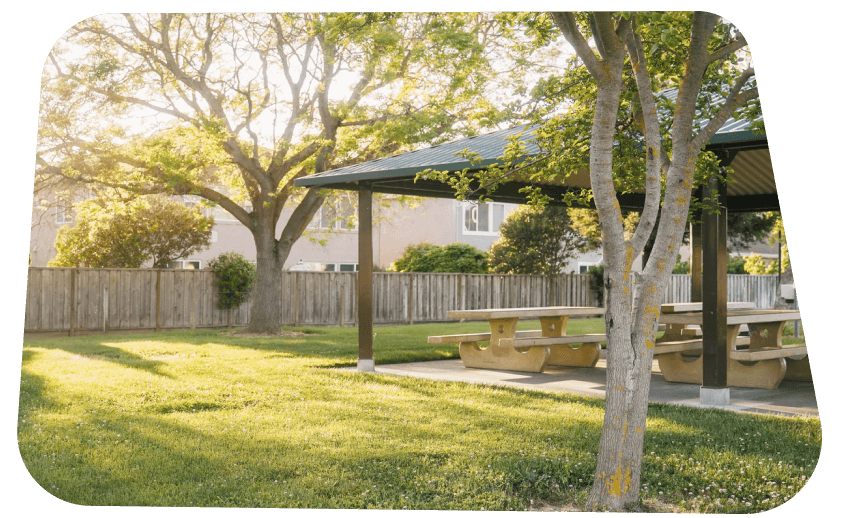 Picnic tables at a local park where learning pod students meet for class